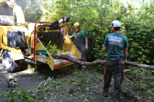 tree services Lake of the Pines